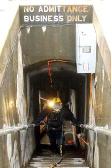 Picture of a diver